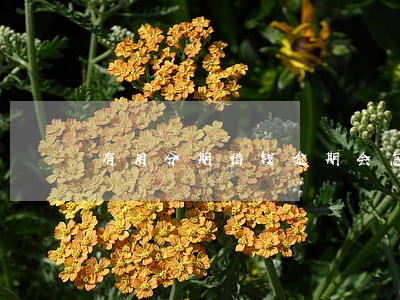 有用分期借钱逾期会怎么样 有用分期借钱逾期会怎么样
