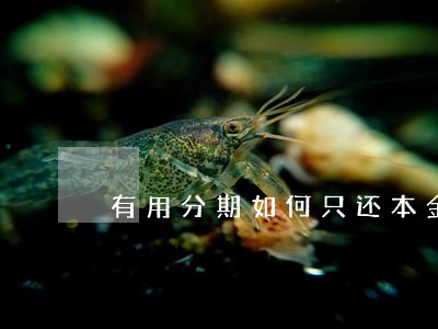 有用分期如何只还本金 有用分期如何只还本金