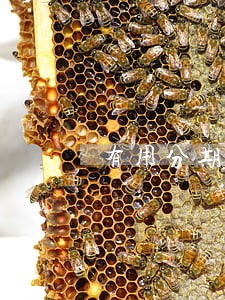 有用分期贷款逾期十多天没事吧 有用分期贷款逾期十多天没事吧