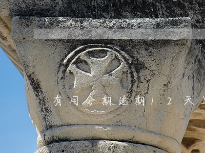 有用分期逾期12天上门催收 有用分期逾期12天上门催收