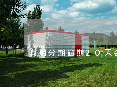 有用分期逾期20天会怎么样