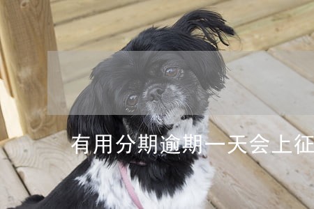 有用分期逾期一天会上征信吗 有用分期逾期一天会上征信吗