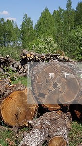 有用分期逾期一天就打电话