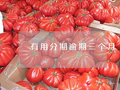 有用分期逾期三个月 有用分期逾期三个月