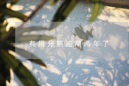 有用分期逾期两年了 有用分期逾期两年了