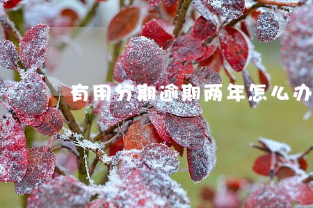 有用分期逾期两年怎么办 有用分期逾期两年怎么办