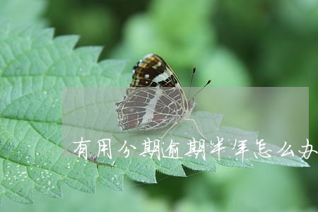 有用分期逾期半年怎么办 有用分期逾期半年怎么办
