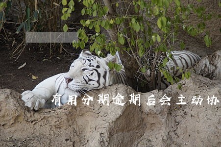 有用分期逾期后会主动协商吗 有用分期逾期后会主动协商吗