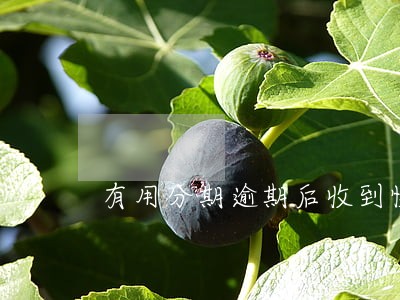 有用分期逾期后收到快递