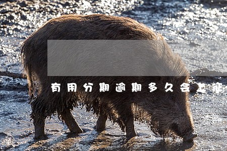 有用分期逾期多久会上征信