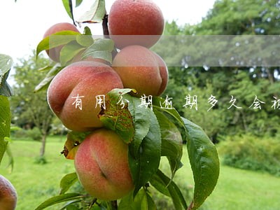 有用分期逾期多久会被告
