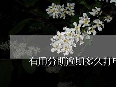 有用分期逾期多久打电话 有用分期逾期多久打电话