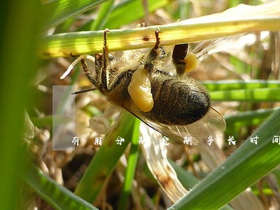 有用分期逾期多长时间会上征信 有用分期逾期多长时间会上征信