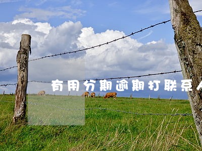 有用分期逾期打联系人 有用分期逾期打联系人