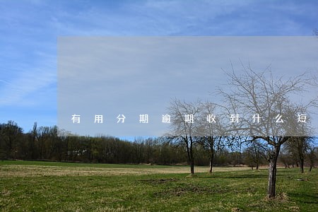 有用分期逾期收到什么短信 有用分期逾期收到什么短信