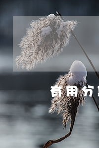有用分期逾期收到短信 有用分期逾期收到短信