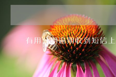 有用分期逾期收到短信上门