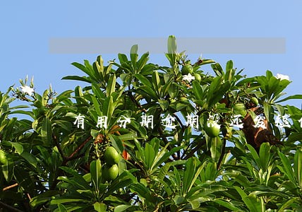 有用分期逾期没还发短信恐吓