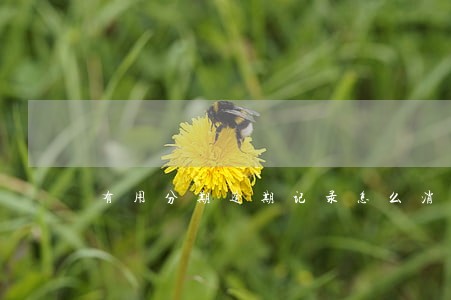有用分期逾期记录怎么消除 有用分期逾期记录怎么消除