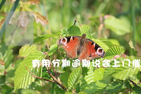 有用分期逾期说会上门催收