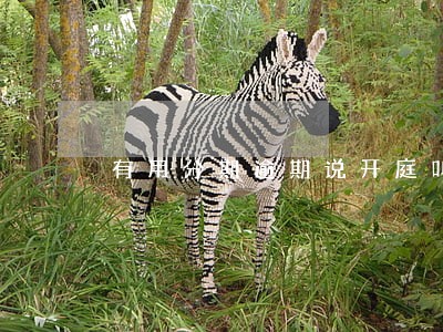 有用分期逾期说开庭叫我去