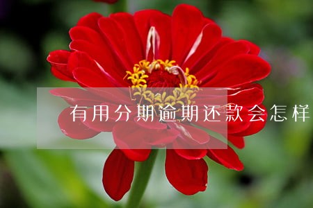 有用分期逾期还款会怎样 有用分期逾期还款会怎样