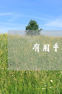 有用手机分期逾期2天没事吧 有用手机分期逾期2天没事吧