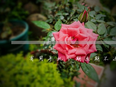 有用手机分期逾期不还会怎么样 有用手机分期逾期不还会怎么样