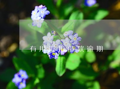 有用折扣借款逾期