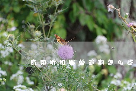 有用折扣账单逾期怎么还不了 有用折扣账单逾期怎么还不了