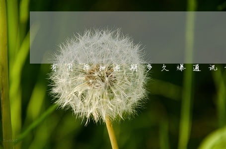 有用折扣逾期多久爆通讯录 有用折扣逾期多久爆通讯录