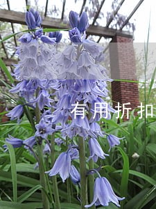 有用折扣逾期打电话 有用折扣逾期打电话
