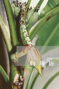 有用折扣逾期说上门 有用折扣逾期说上门