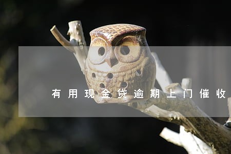 有用现金贷逾期上门催收吗 有用现金贷逾期上门催收吗