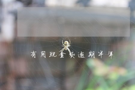 有用现金贷逾期半年 有用现金贷逾期半年