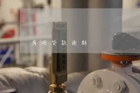 有用贷款逾期 有用贷款逾期
