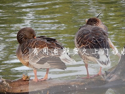 有用逾期多久上门催收 有用逾期多久上门催收