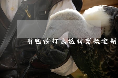 有电话打来说我贷款逾期 有电话打来说我贷款逾期
