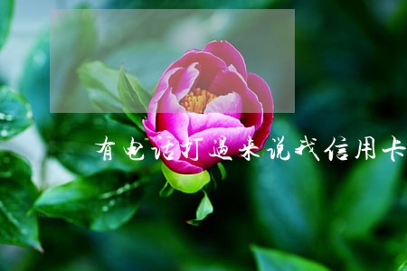 有电话打过来说我信用卡逾期 有电话打过来说我信用卡逾期
