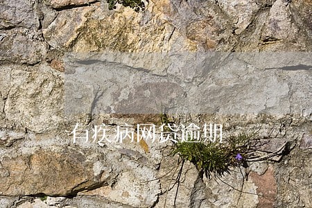 有疾病网贷逾期 有疾病网贷逾期