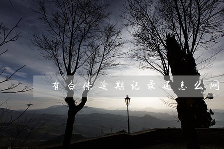 有白条逾期记录还怎么网贷 有白条逾期记录还怎么网贷