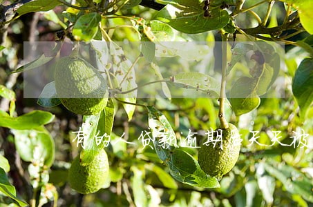 有的人贷款逾期后天天被催 有的人贷款逾期后天天被催