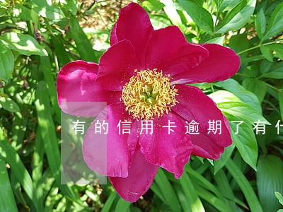 有的信用卡逾期了有什么办法