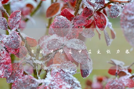 有的律师庭审应变能力很好 有的律师庭审应变能力很好