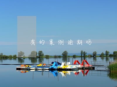 有的案例逾期吗 有的案例逾期吗