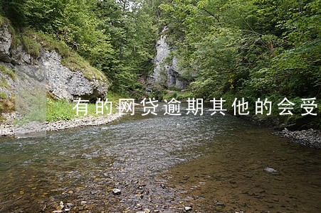 有的网贷逾期其他的会受影响吗