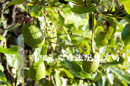 有相关文件法规规定吗 有相关文件法规规定吗