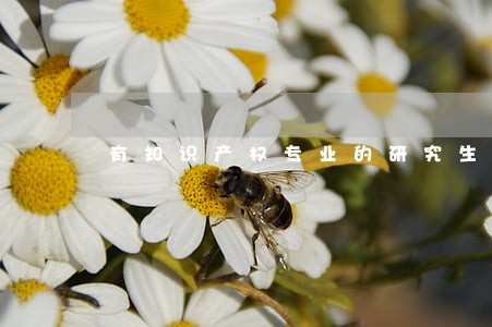 有知识产权专业的研究生院校 有知识产权专业的研究生院校