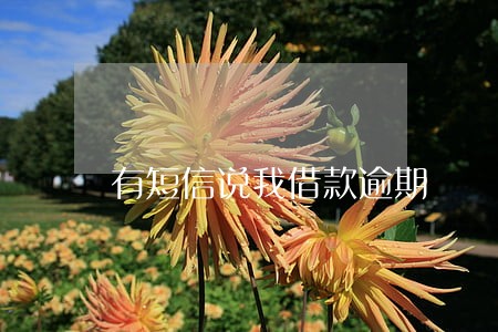 有短信说我借款逾期 有短信说我借款逾期
