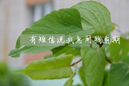 有短信说我急用钱逾期 有短信说我急用钱逾期